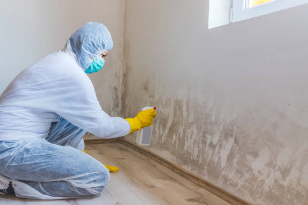Hvac And Air Duct Mold Remediation inspection of HVAC system in South Amboy