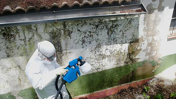 Mold Remediation service in South Amboy, South Amboy, NJ